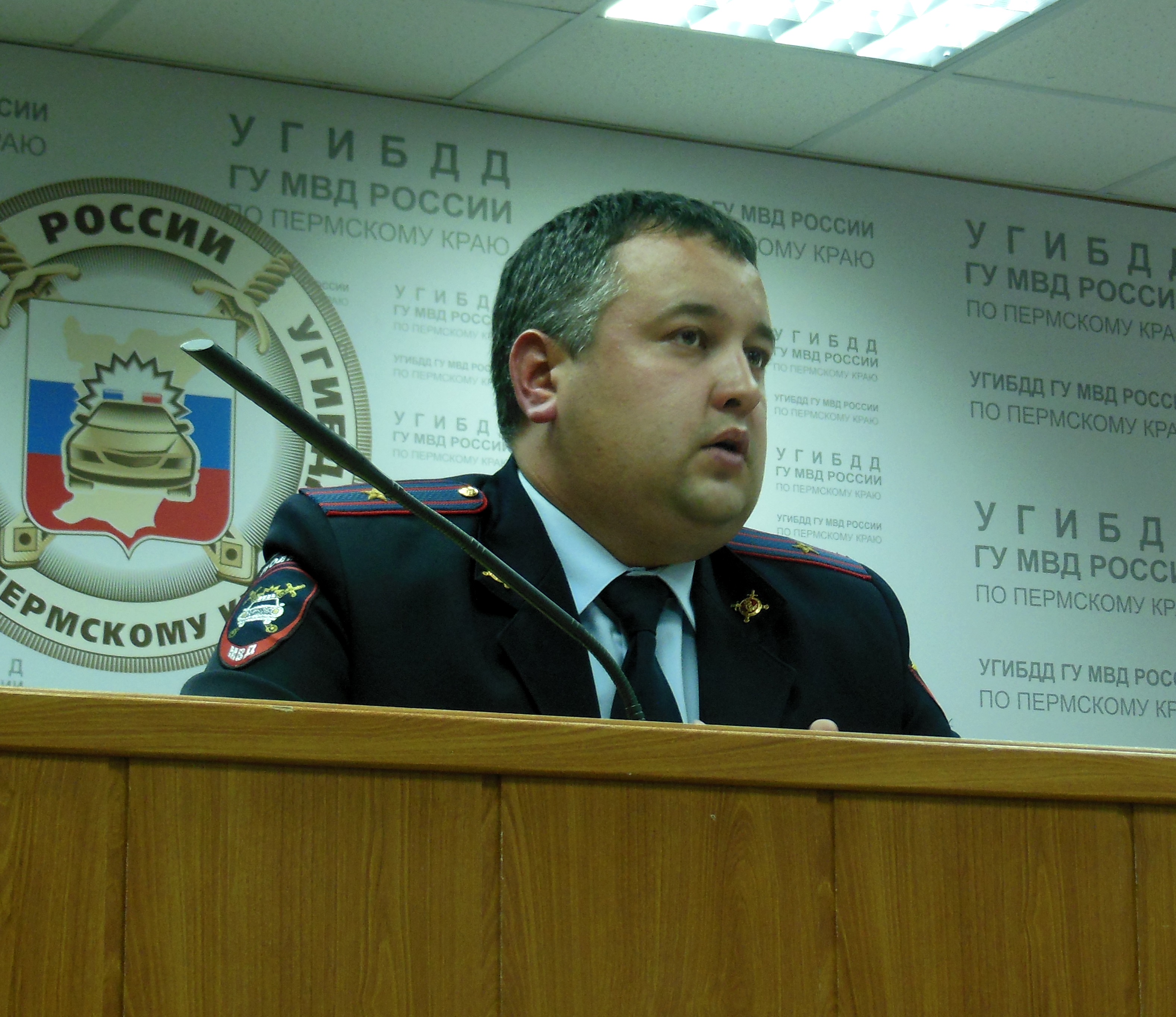 Кнут и трафик