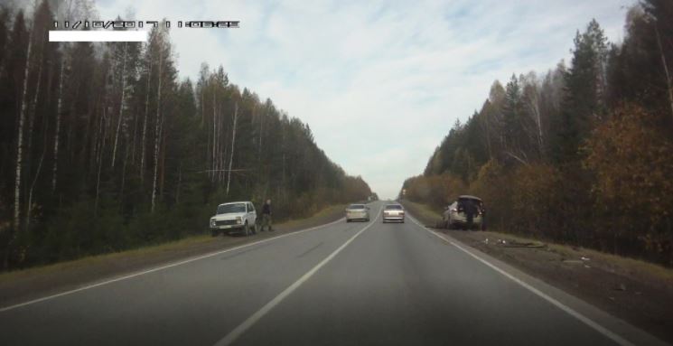 На автотрассе в Прикамье насмерть сбили лося