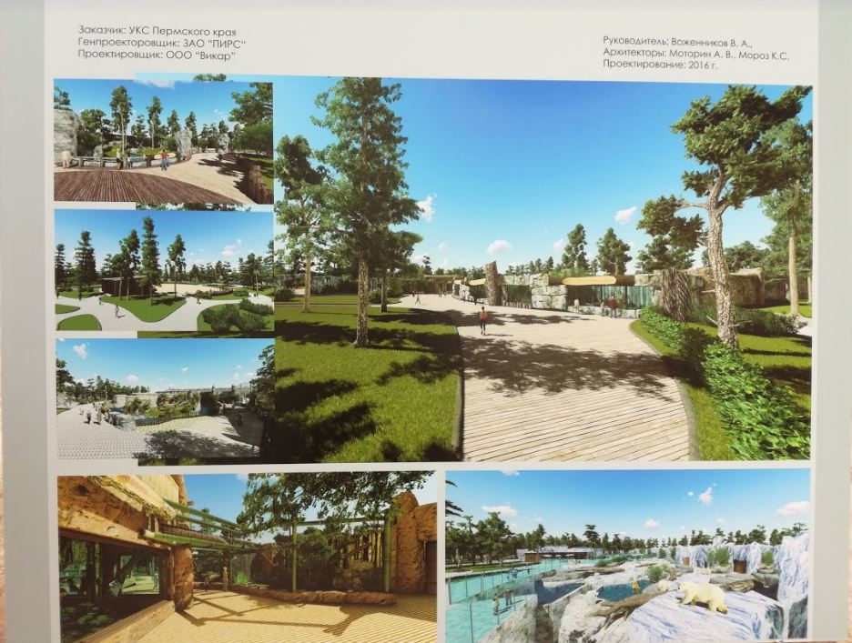 Выдано разрешение на строительство 49 объектов пермского зоопарка