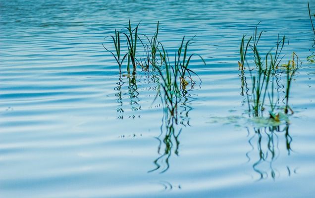 В Кунгуре утонули двое мужчин, сплавлявшихся от одного пляжа до другого