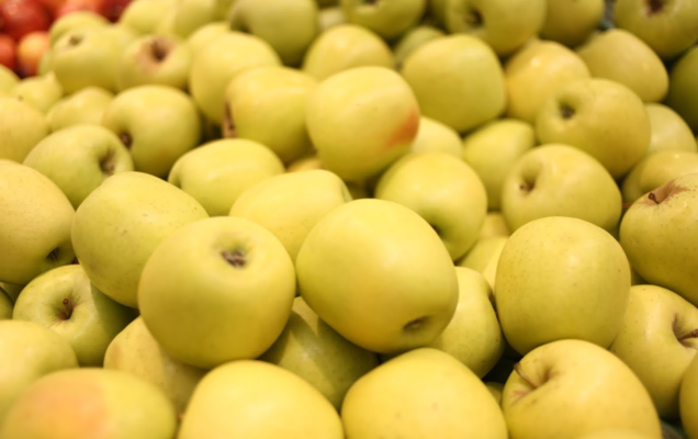 Вдавить в грязь. Менее чем за год пермские таможенники уничтожили более 16 тонн санкционных продуктов