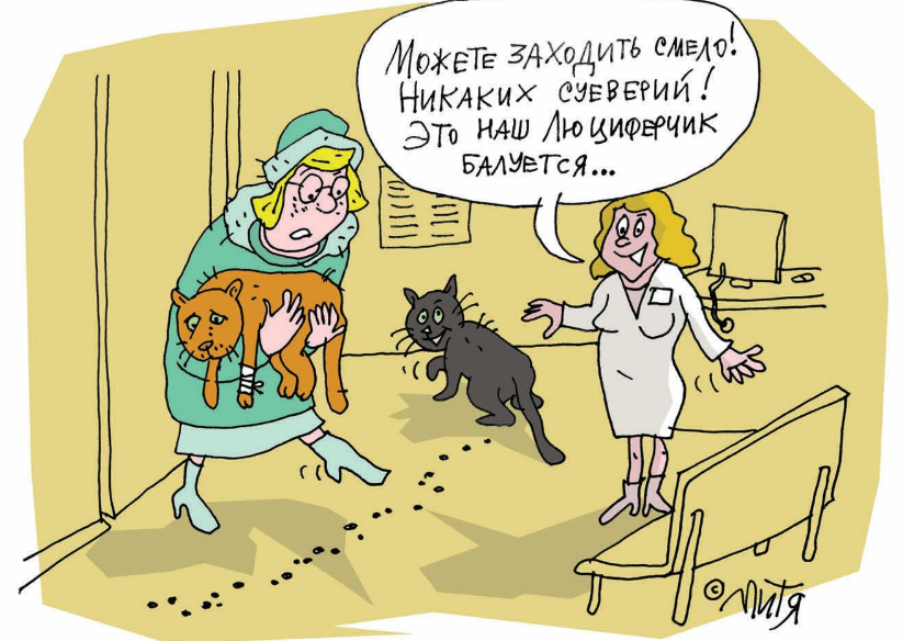 ​Все ради пиара