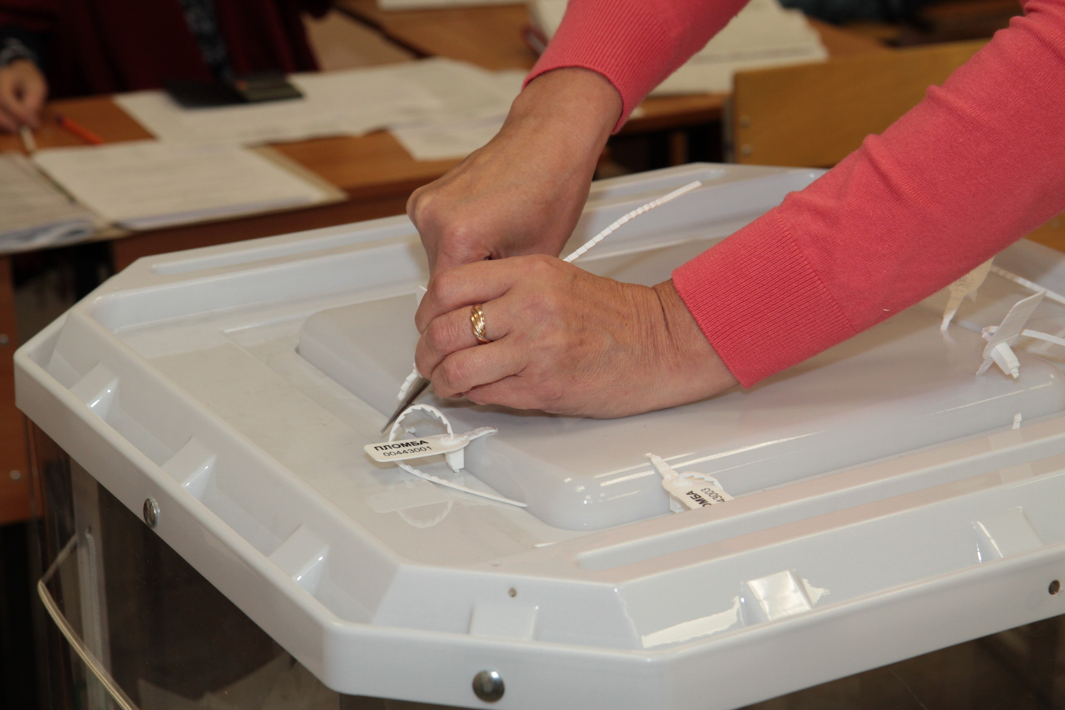 Призрак выборов