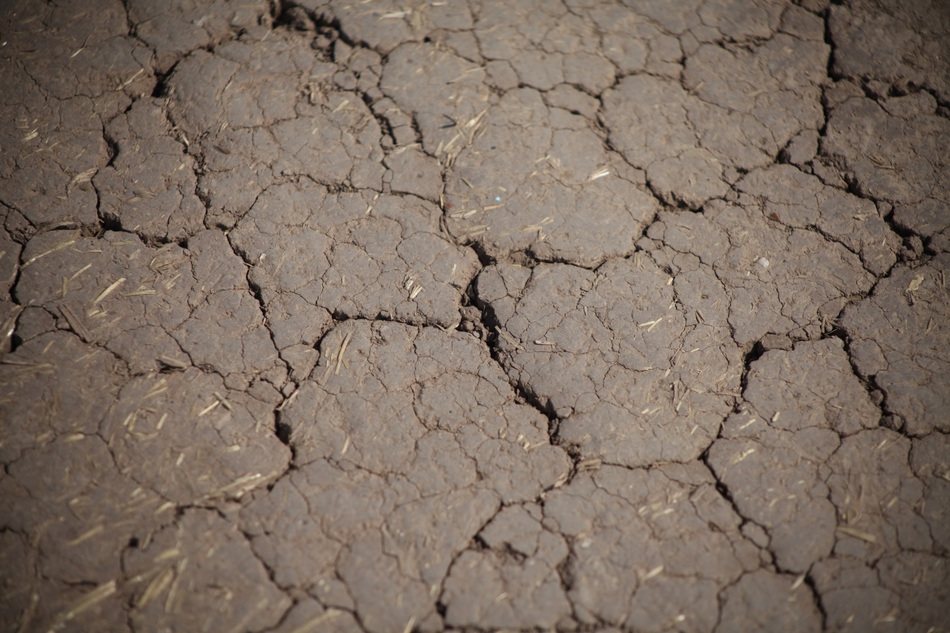 ​Ученые зафиксировали аномальную сейсмическую активность в Пермском крае 