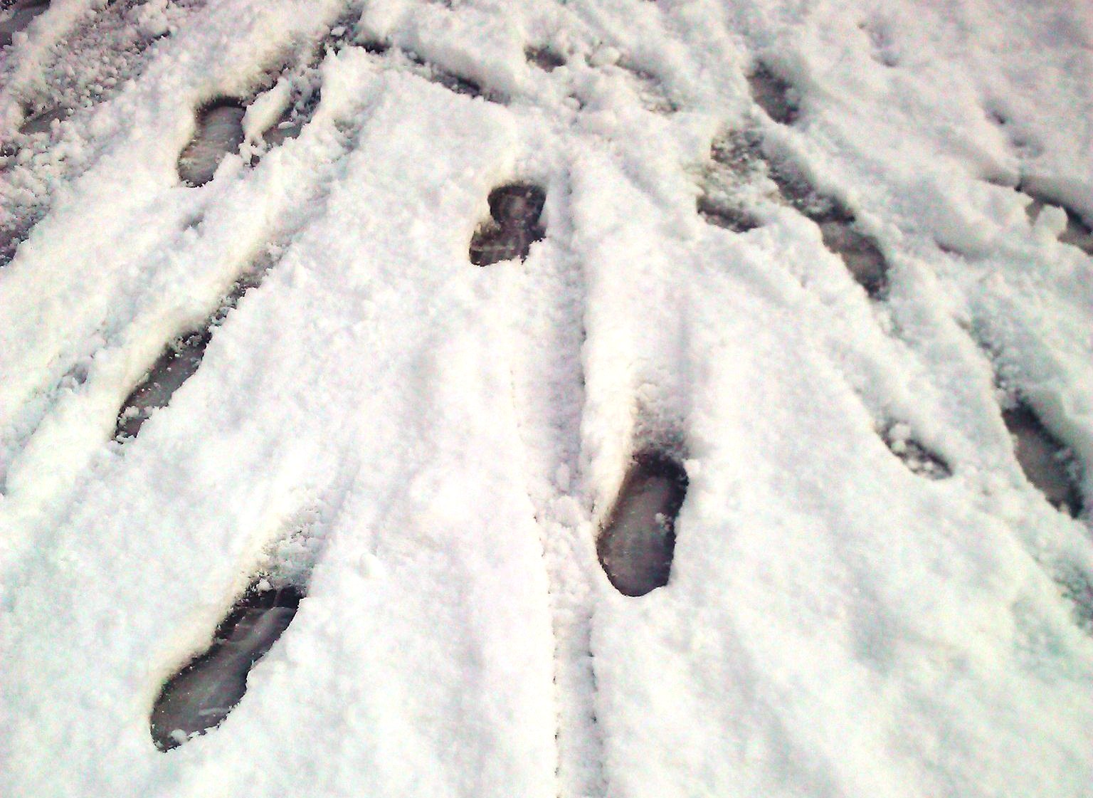 Синоптики: завтра в Перми снова выпадет снег