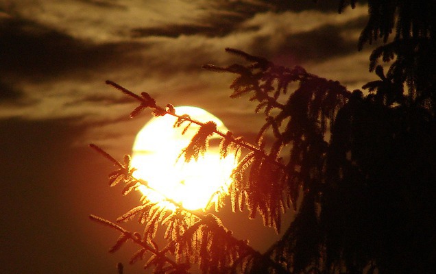 Просто супер. Самые яркие кадры суперлуния, сделанные пользователями соцсетей