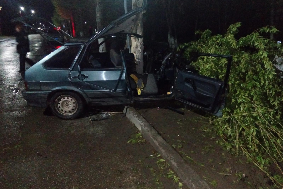 В Прикамье водитель ВАЗа врезался в дерево
