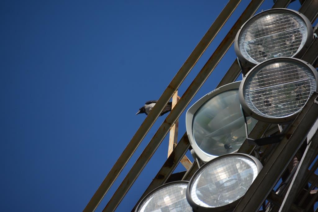 В крупнейшем спортивном объекте Перми — манеже «Спартак», выключили свет