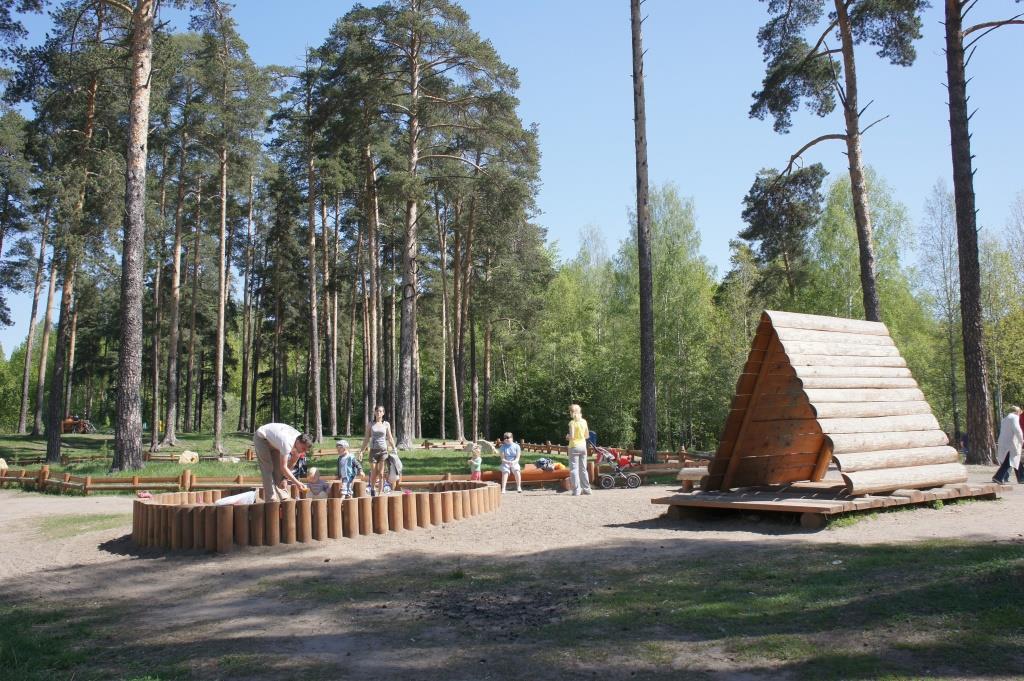 Выжившие. В Прикамье почти в 30 раз выросла активность клещей