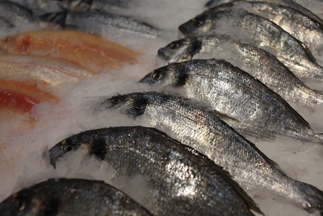 Расти рыбка большая, расти малая