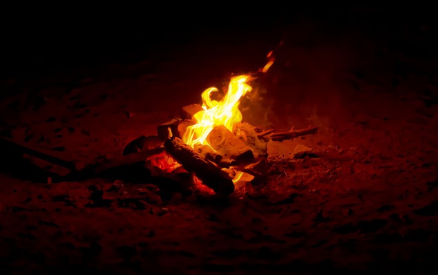 В Прикамье за сутки возникло два лесных пожара