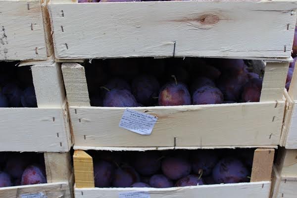В Перми таможенники уничтожили более двух тонн санкционных овощей и фруктов из Евросоюза