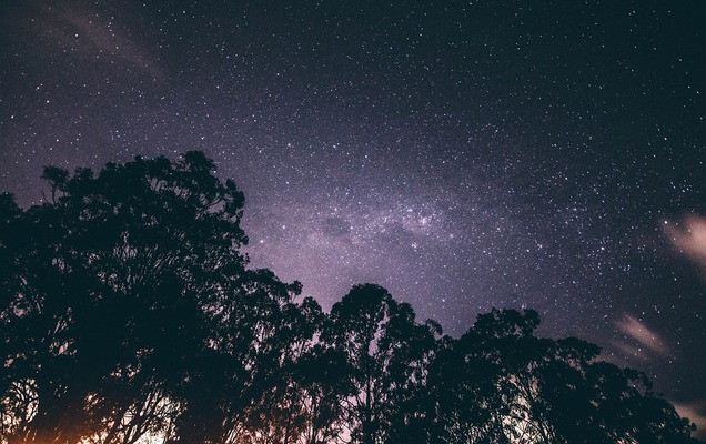 Жители Прикамья смогут наблюдать метеорный поток Ориониды