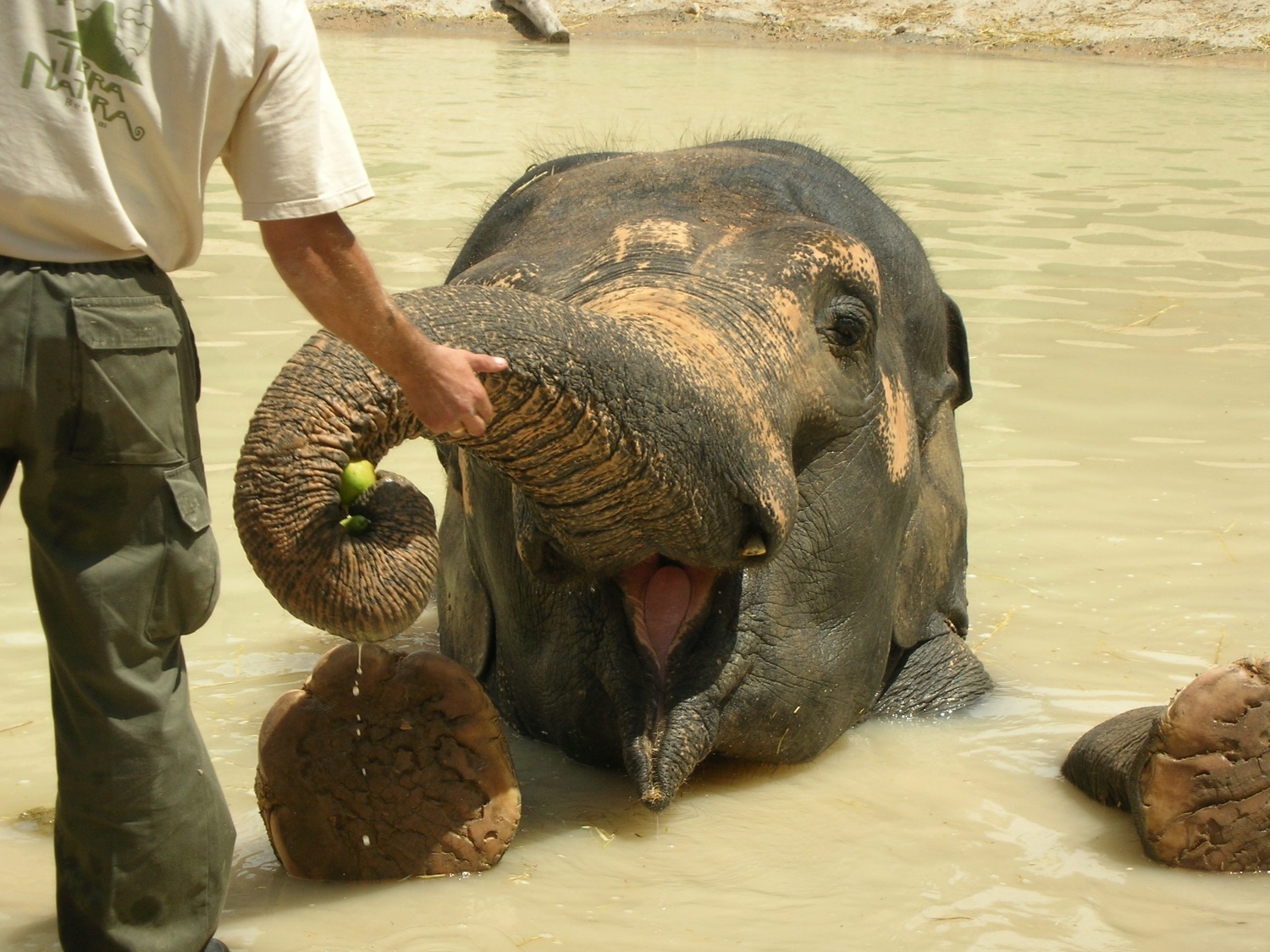 ОБЗОР СВЕЖЕГО НОМЕРА «BUSINESS CLASS» № 36 (593) от 26 СЕНТЯБРЯ 2016 ГОДА