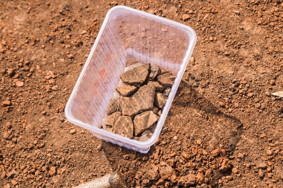 Белые против черных. В Пермском районе заканчивается экспедиция по раскопкам Мокинского могильника