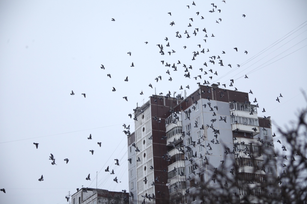 На вторичном рынке жилья в Перми квартиры старой постройки подешевели на 15%