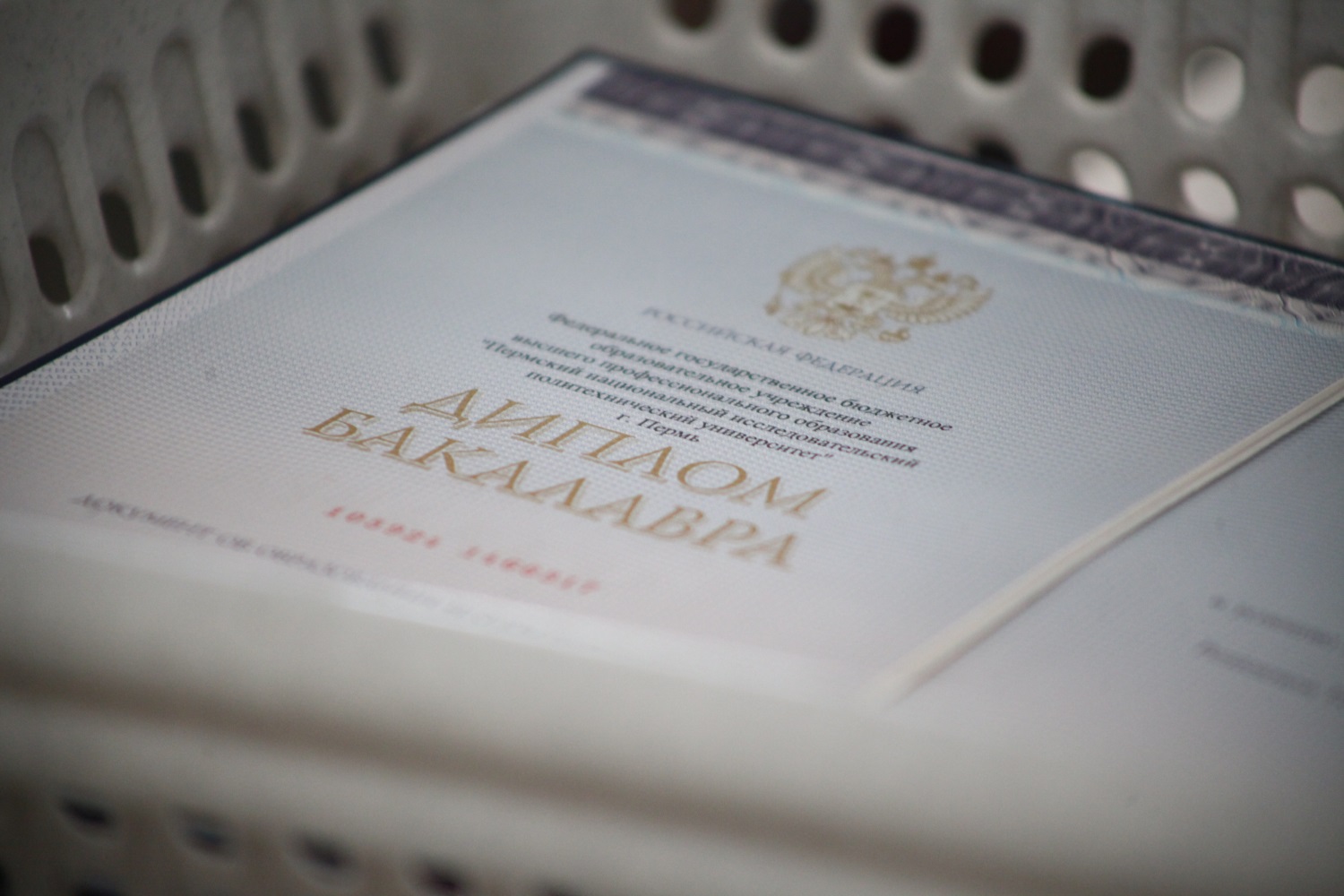 Сайт по продаже дипломов пермских вузов закрыли по иску прокурора