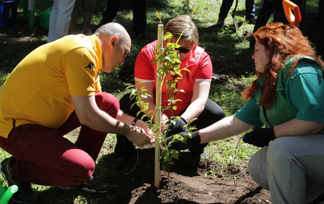 Пермяки смогут посадить 12 тыс. дубов, каштанов и ореховых деревьев
