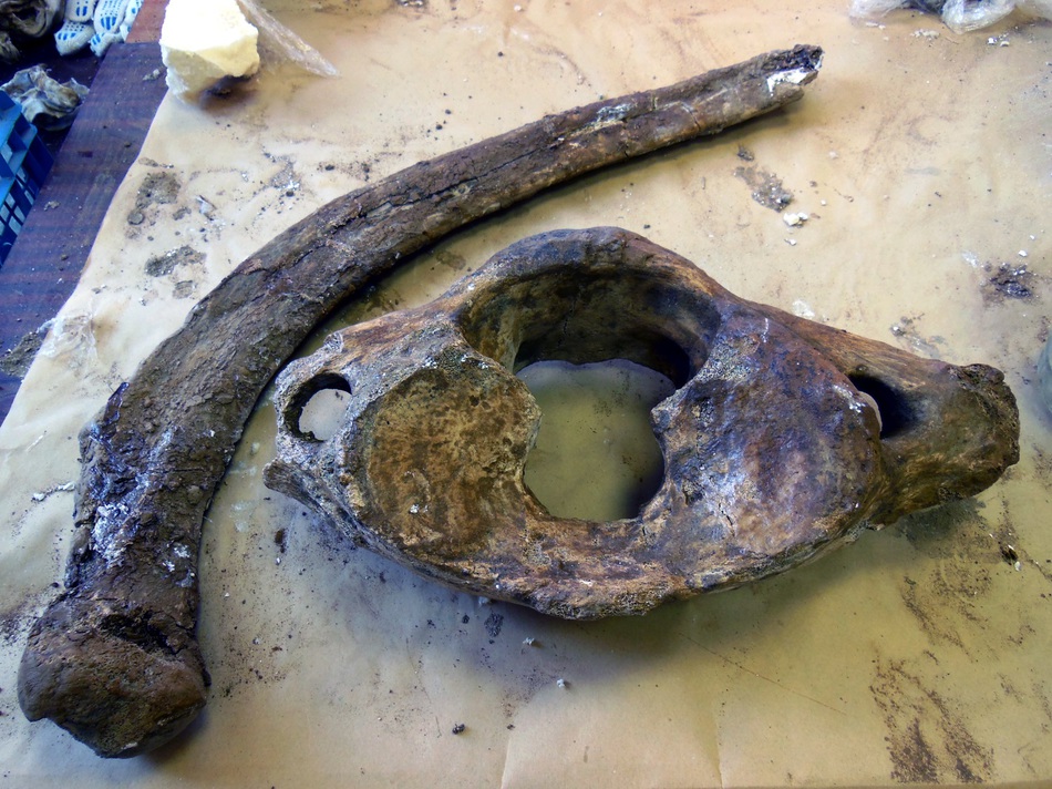 Расставить косточки над i