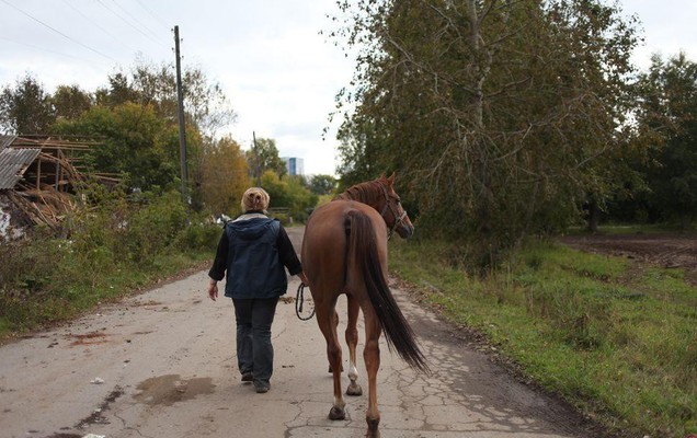 Суд отказал Азинскому конезаводу в очередном иске к Теруправлению Росимущества