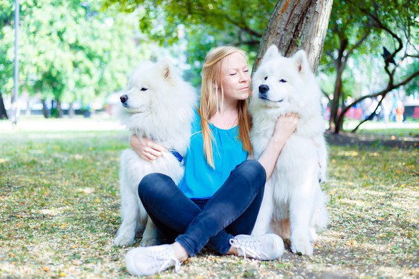 В Перми вновь пройдет популярная акция «Собака-обнимака»