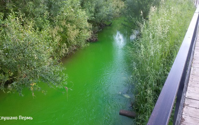 Ученые Пермского университета назвали точную причину окрашивания воды в реке Ива