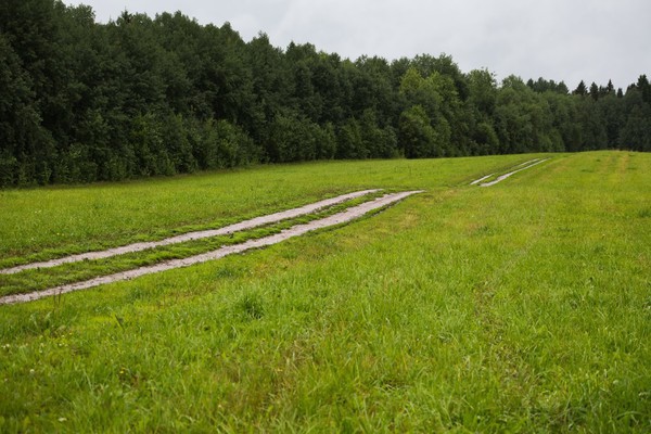 Сколково ложе