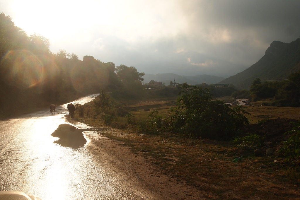 Дроны над цитаделью