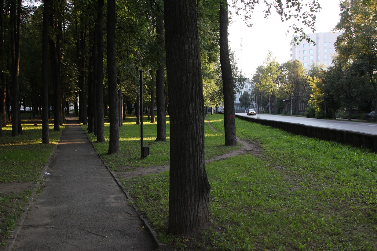 Прокуратура добилась восстановления зеленых насаждений в Перми на сумму более 12,5 млн. рублей