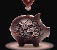 Инвесторы из Европы готовы вложить в пермский свинокомплекс 200 миллионов евро