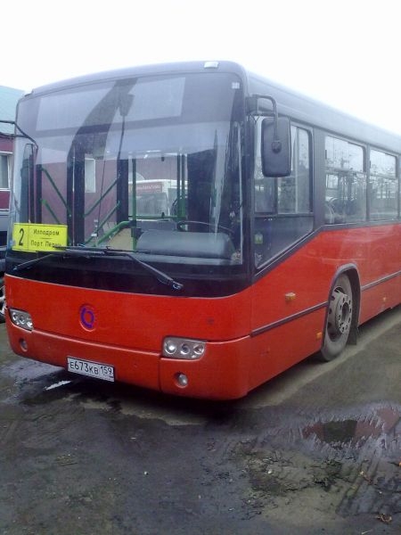 На маршрутах общественного транспорта в Перми появились новые автобусы