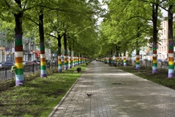 Самые зеленые