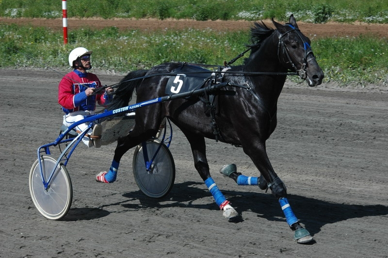 «История с переносом ипподрома – блуд», - Сергей Левитан 