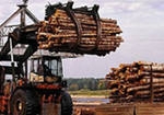 Лесопромышленники Прикамья попросили Виктора Басаргина оперативно решить проблемы отрасли