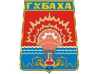 Николай Шумаков может возглавить администрацию Губахинского района