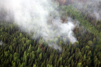 На борьбу с лесными пожарами в Пермском крае в 2011 году направят в 2 раза больше средств