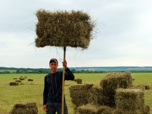 Сельхозпроизводители в Пермском крае сетуют на сворачивание программ кредитования