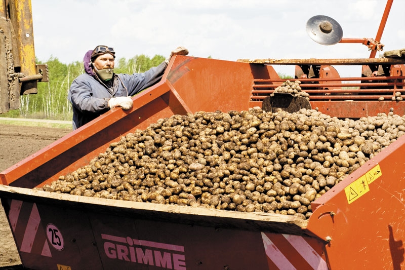 Могучий кластер