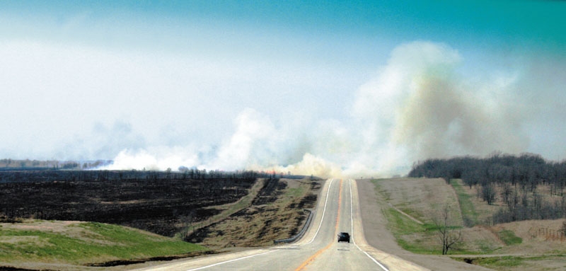 Все дороже, и дороже, и…