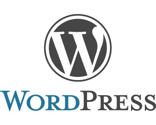 У пермских чиновников появилась новая «забава» - дежурный по WordPress