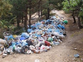 На рекультивацию городской свалки в Березниках готовы потратить до 5 млн рублей