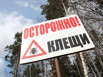 В Пермском крае готовятся к борьбе с клещами 