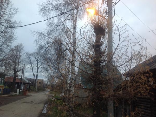 В частном секторе Усть-Муллы в Перми появилось освещение