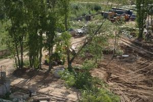 В мэрии Перми появилась должность «главного садовника»