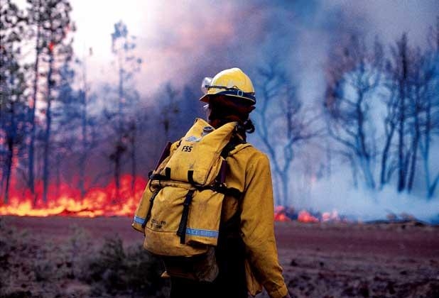Лесные пожарные Пермского края начали подготовку к следующему сезону