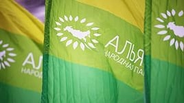 Руководитель пермского отделения партии зелёных покидает свой пост 