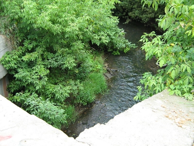 Администрация Перми определила компанию, которая займется мониторингом качества воды пермских рек