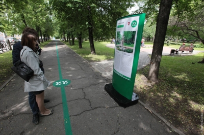 В Перми начали обновлять разметку «Зеленой линии»