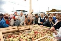 "Центральный колхозный рынок – это атавизм" - , Илья Шулькин