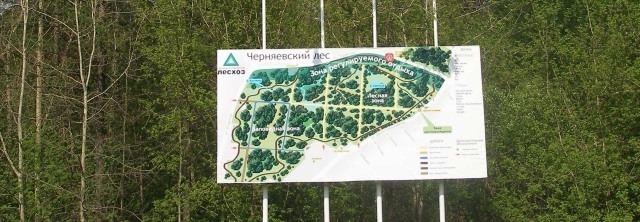 Зоопарк в Черняевском лесу построят в три этапа, стоимость первых двух - 2,4 млрд рублей